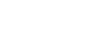 Diane Bliessen Logo